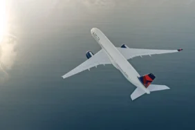 Delta Air Lines'ın Kalzone İkramı Tartışma Yarattı Delta Air Lines 7