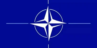 NATO 84