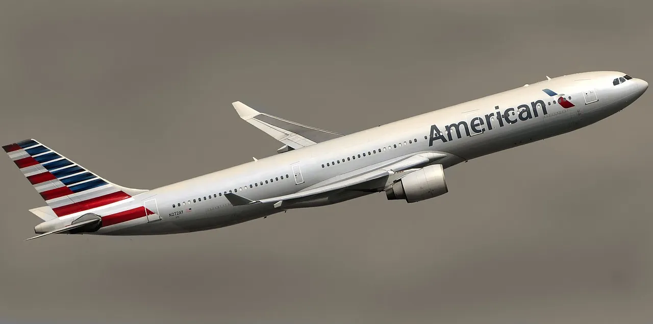 american uçak 3