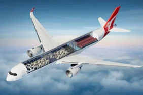 Qantas'ın Project Sunrise Uçağında Koltuk Mesafesi Değişmiş Olabilir project sunrise a350 4
