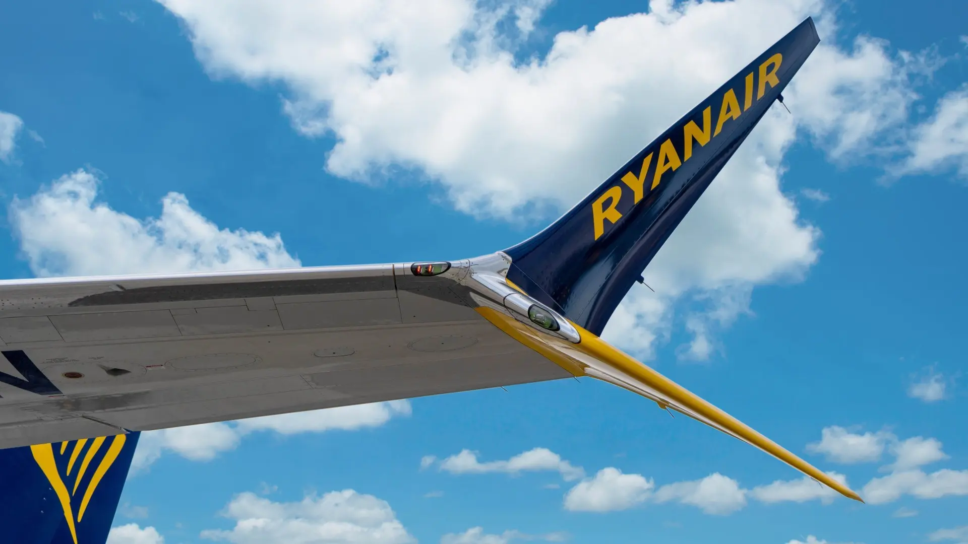 Uçağı Sivrisinekler Bastı, Pilot Kalkıştan Vazgeçti ryanair 38