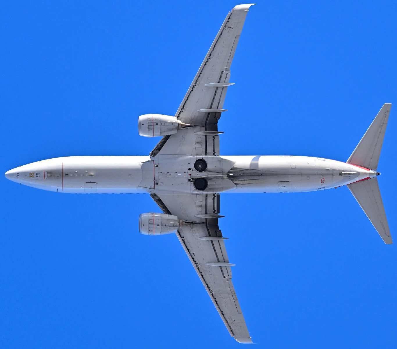Boeing 737-800 kargo uçağı