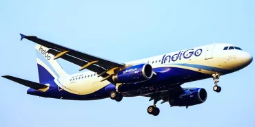 IndiGo