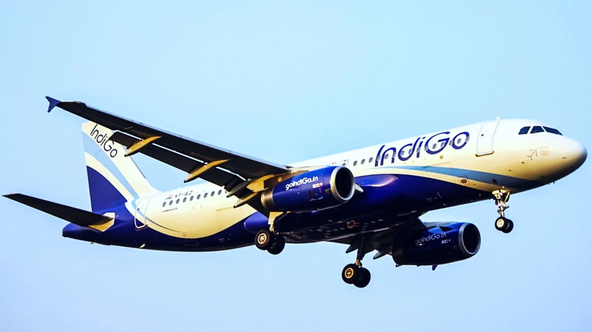 IndiGo