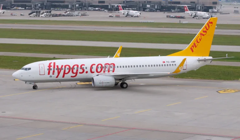 Pegasus Uçağına Kuş Çarptı: Uçuş 10 Saat Gecikmeli Gerçekleşti Pegasus Hava Yolları
