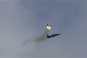T2 Hawk 31