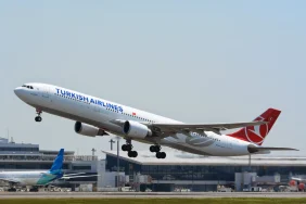 türk hava yolları 31