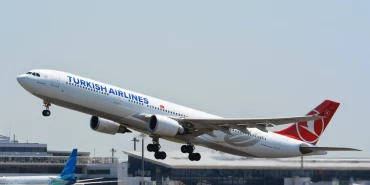 türk hava yolları 31